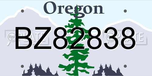 BZ82838 Oregon License Plate