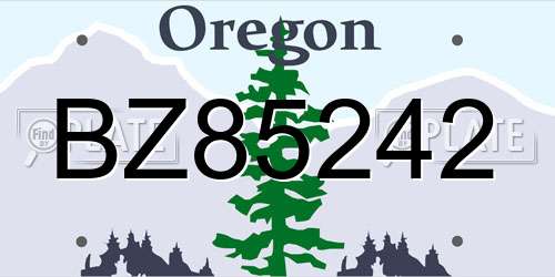 BZ85242 Oregon License Plate