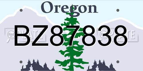 BZ87838 Oregon License Plate
