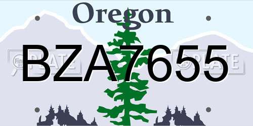 BZA7655 Oregon License Plate