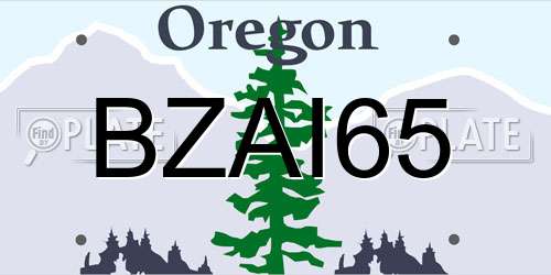 BZAI65 Oregon License Plate