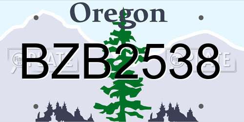 BZB2538 Oregon License Plate
