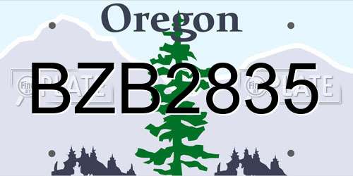 BZB2835 Oregon License Plate