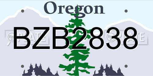 BZB2838 Oregon License Plate