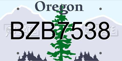 BZB7538 Oregon License Plate