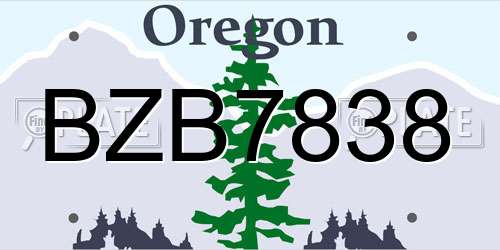 BZB7838 Oregon License Plate