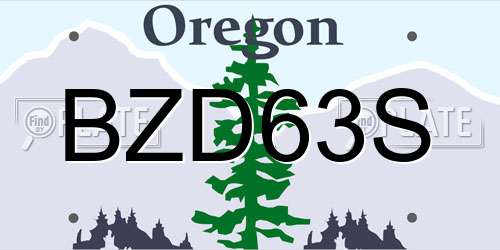 BZD63S Oregon License Plate