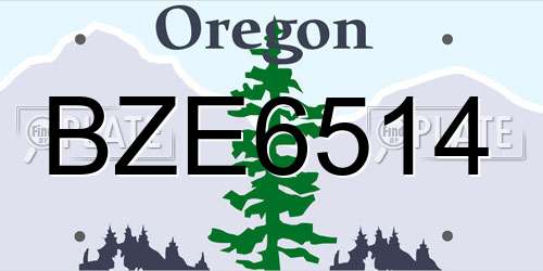 BZE6514 Oregon License Plate