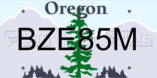 BZE85M Oregon License Plate