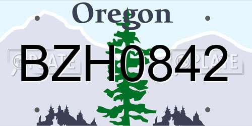 BZH0842 Oregon License Plate