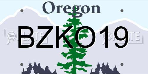 BZKO19 Oregon License Plate