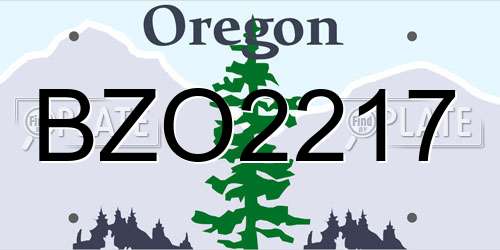 BZO2217 Oregon License Plate
