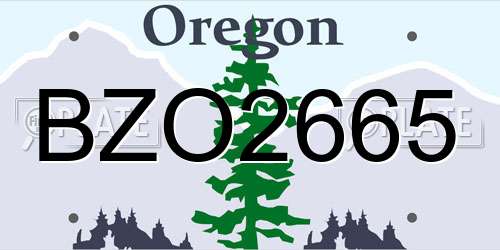BZO2665 Oregon License Plate