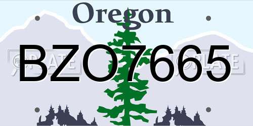 BZO7665 Oregon License Plate