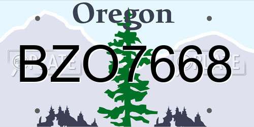 BZO7668 Oregon License Plate