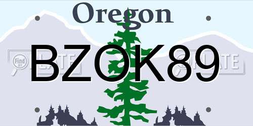 BZOK89 Oregon License Plate