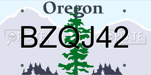 BZQJ42 Oregon License Plate