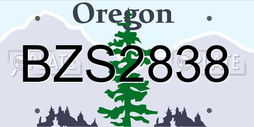 BZS2838 Oregon License Plate