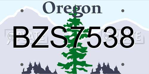 BZS7538 Oregon License Plate