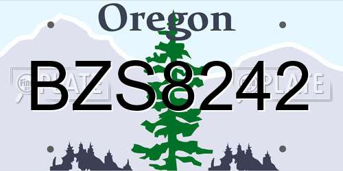 BZS8242 Oregon License Plate