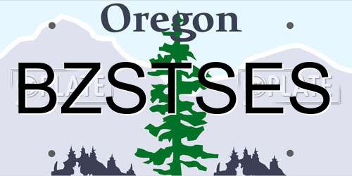 BZSTSES Oregon License Plate