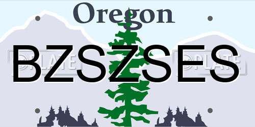BZSZSES Oregon License Plate