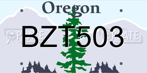 BZT503 Oregon License Plate