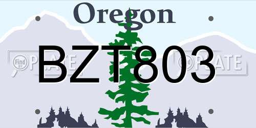 BZT803 Oregon License Plate