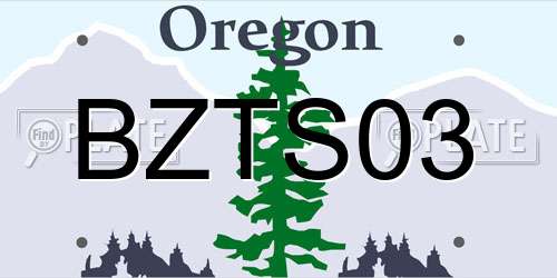 BZTS03 Oregon License Plate
