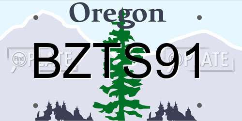 BZTS91 Oregon License Plate