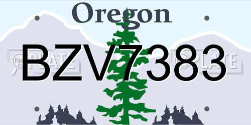 BZV7383 Oregon License Plate