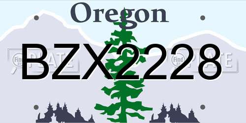 BZX2228 Oregon License Plate