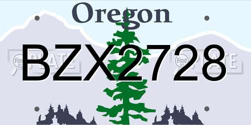 BZX2728 Oregon License Plate