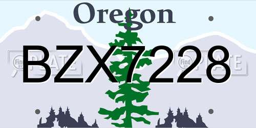 BZX7228 Oregon License Plate