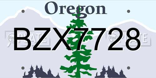 BZX7728 Oregon License Plate
