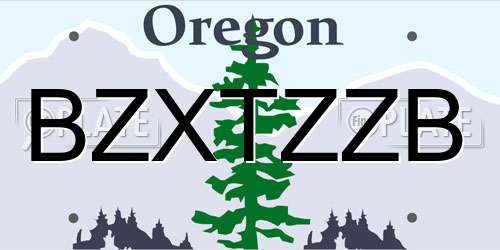 BZXTZZB Oregon License Plate