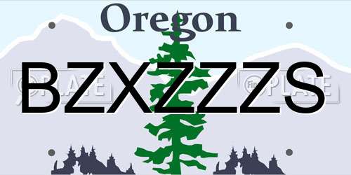 BZXZZZS Oregon License Plate
