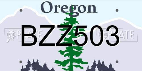 BZZ503 Oregon License Plate