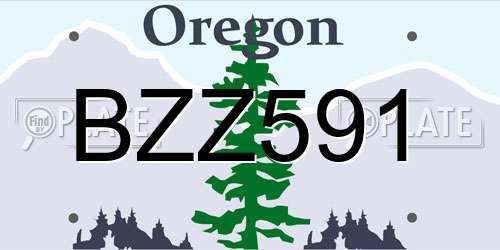 BZZ591 Oregon License Plate