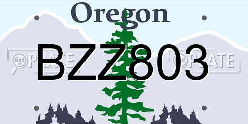 BZZ803 Oregon License Plate