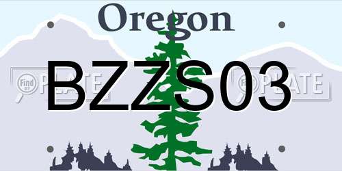 BZZS03 Oregon License Plate