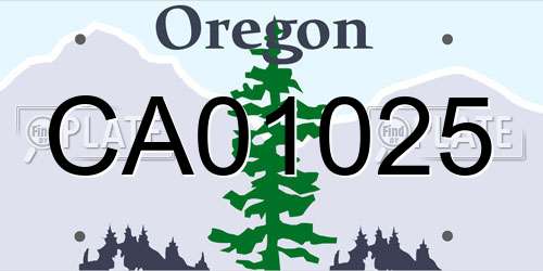 CA01025 Oregon License Plate
