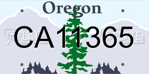 CA11365 Oregon License Plate