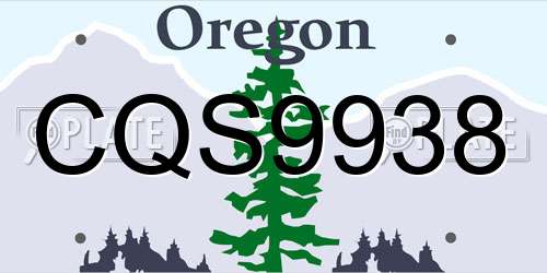 CQS9938 Oregon License Plate