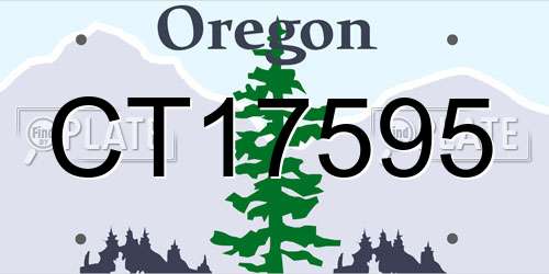 CT17595 Oregon License Plate