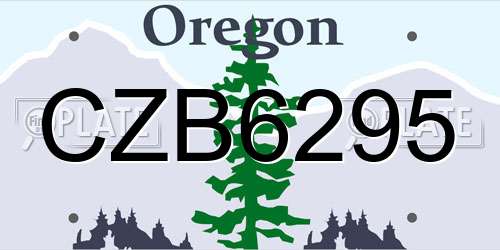 CZB6295 Oregon License Plate