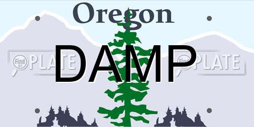 DAMP Oregon License Plate