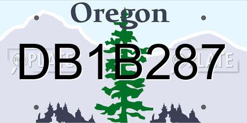 DB1B287 Oregon License Plate