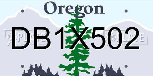 DB1X502 Oregon License Plate