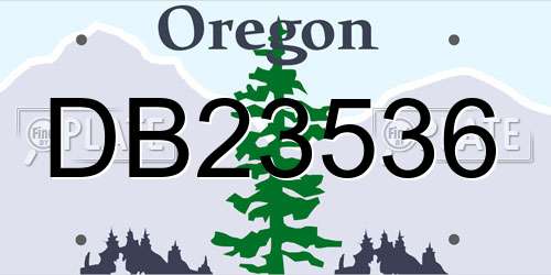 DB23536 Oregon License Plate